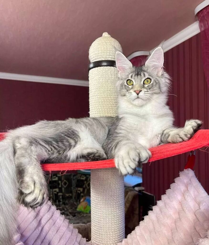 photo_2025-02-11_14-25-19