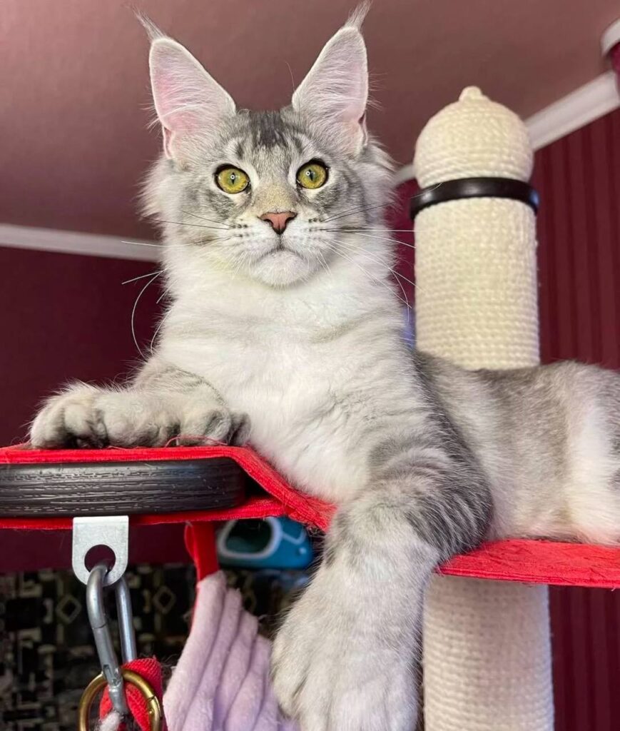 photo_2025-02-11_14-25-21