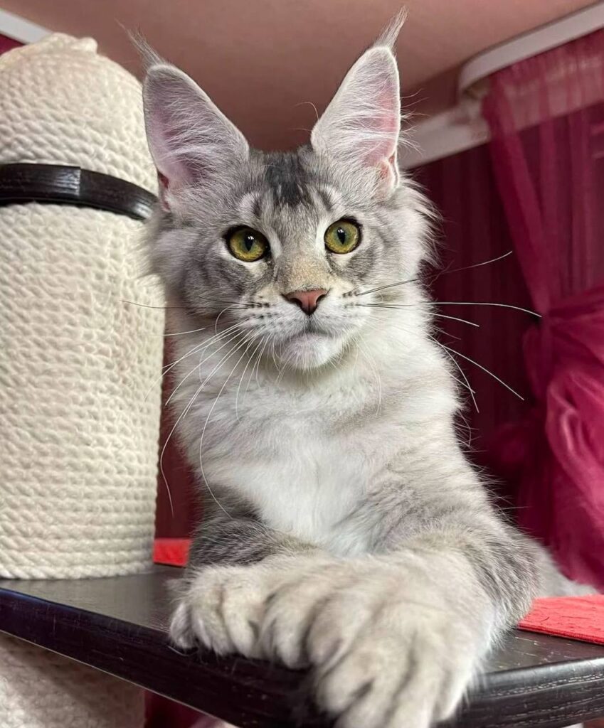 photo_2025-02-11_14-25-23