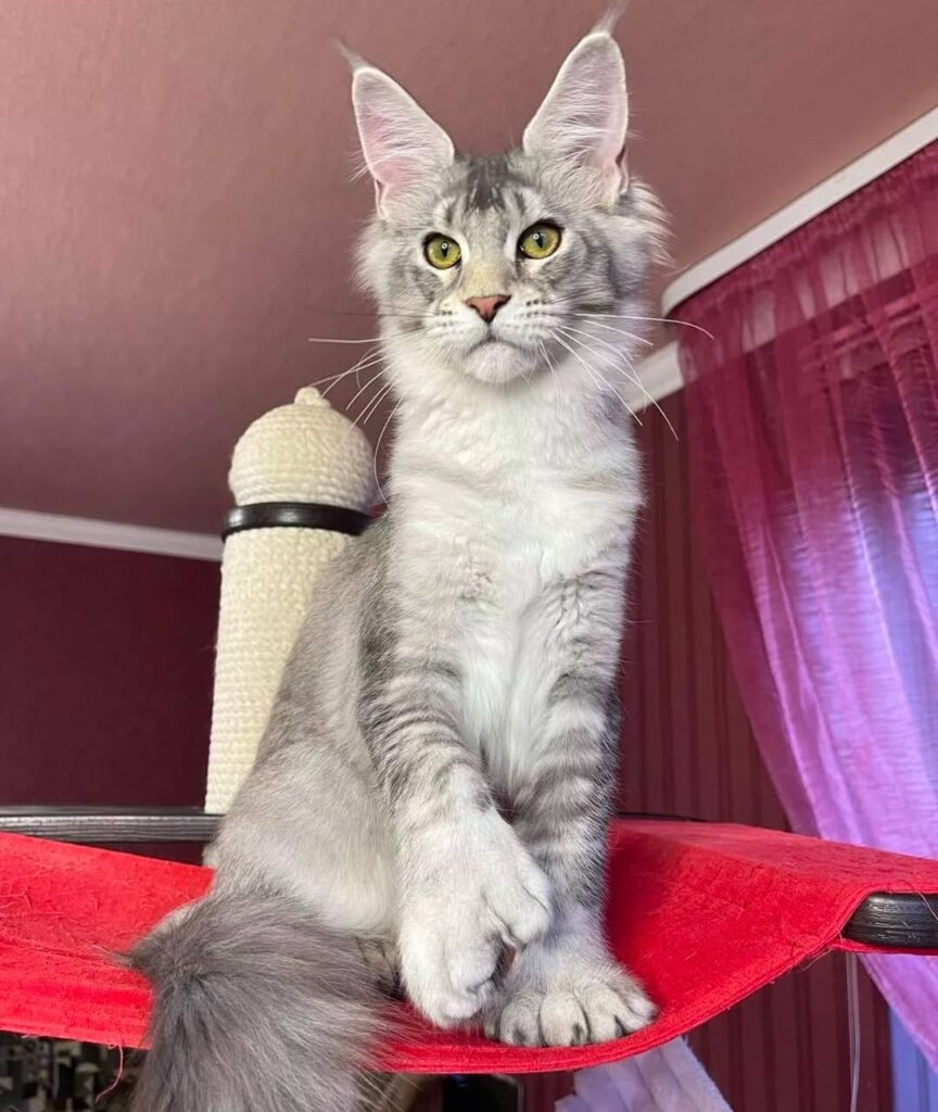 photo_2025-02-11_14-25-25