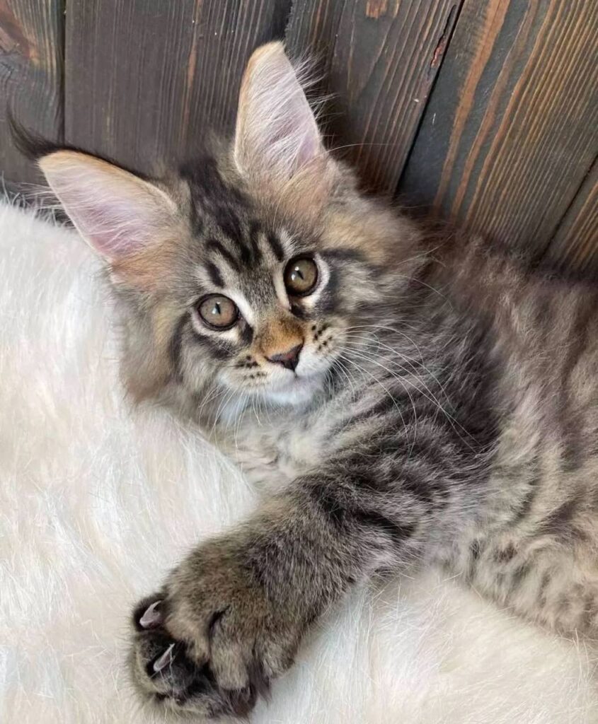 photo_2025-02-11_14-26-06