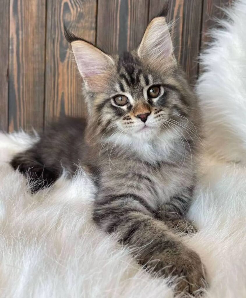 photo_2025-02-11_14-26-09