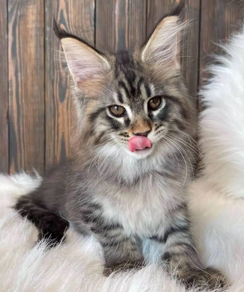 photo_2025-02-11_14-26-13