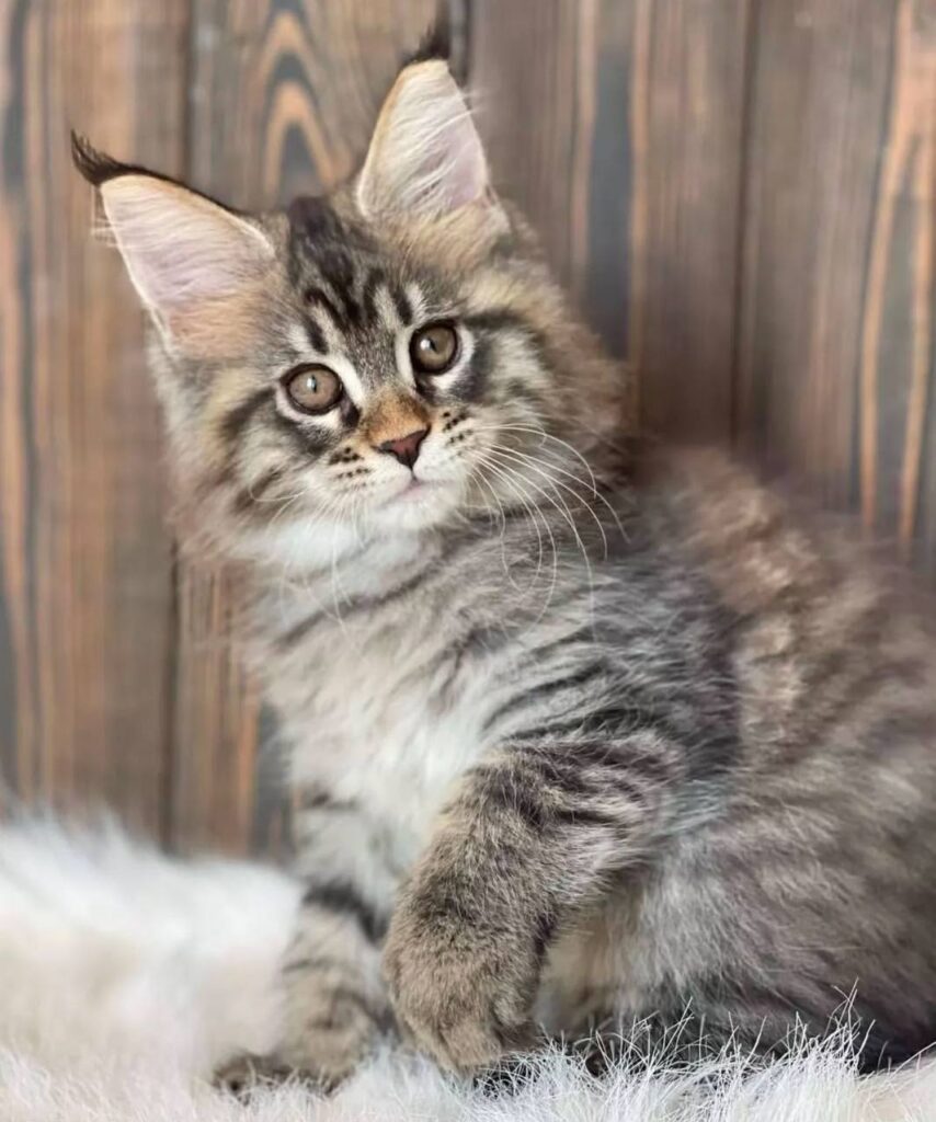 photo_2025-02-11_14-26-15