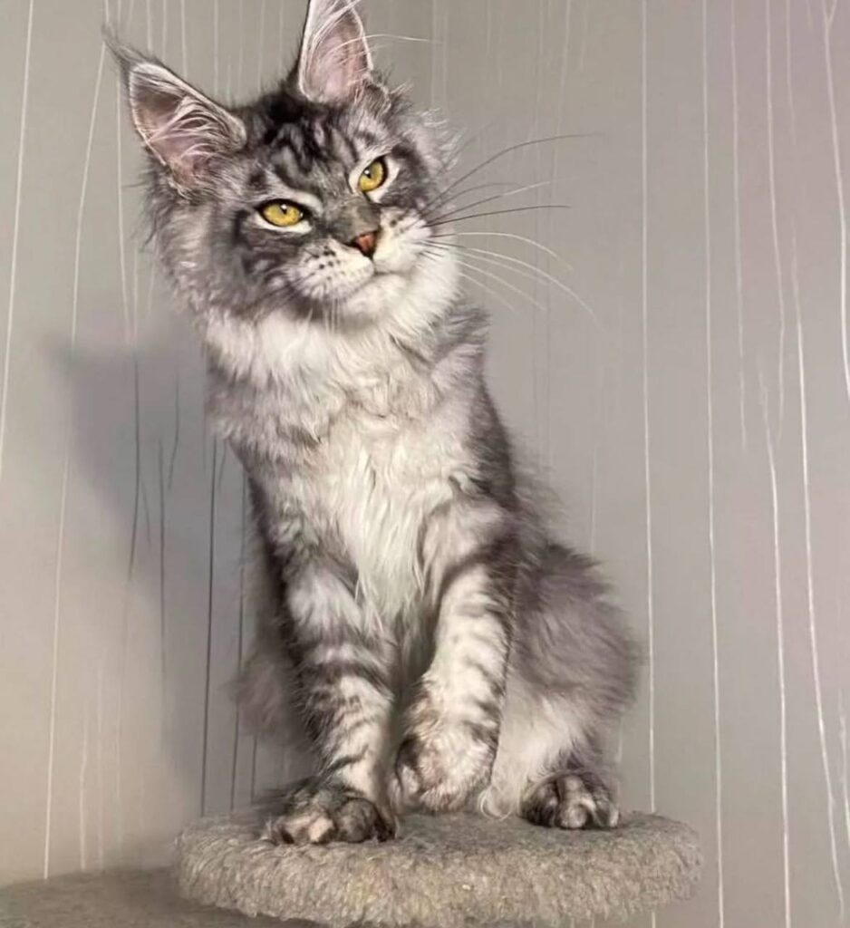 photo_2025-02-11_14-27-43