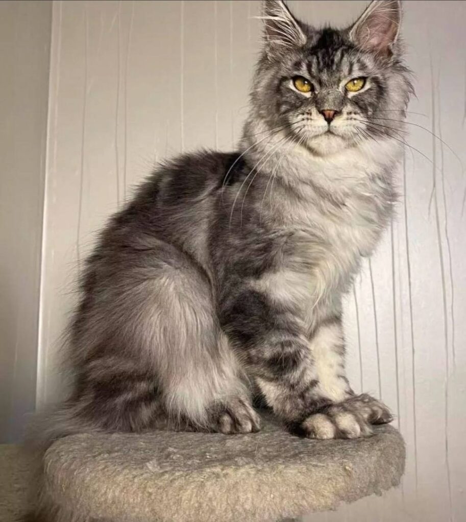 photo_2025-02-11_14-27-45