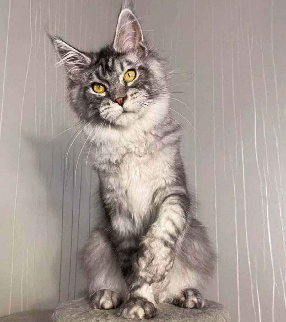 photo_2025-02-11_14-27-47