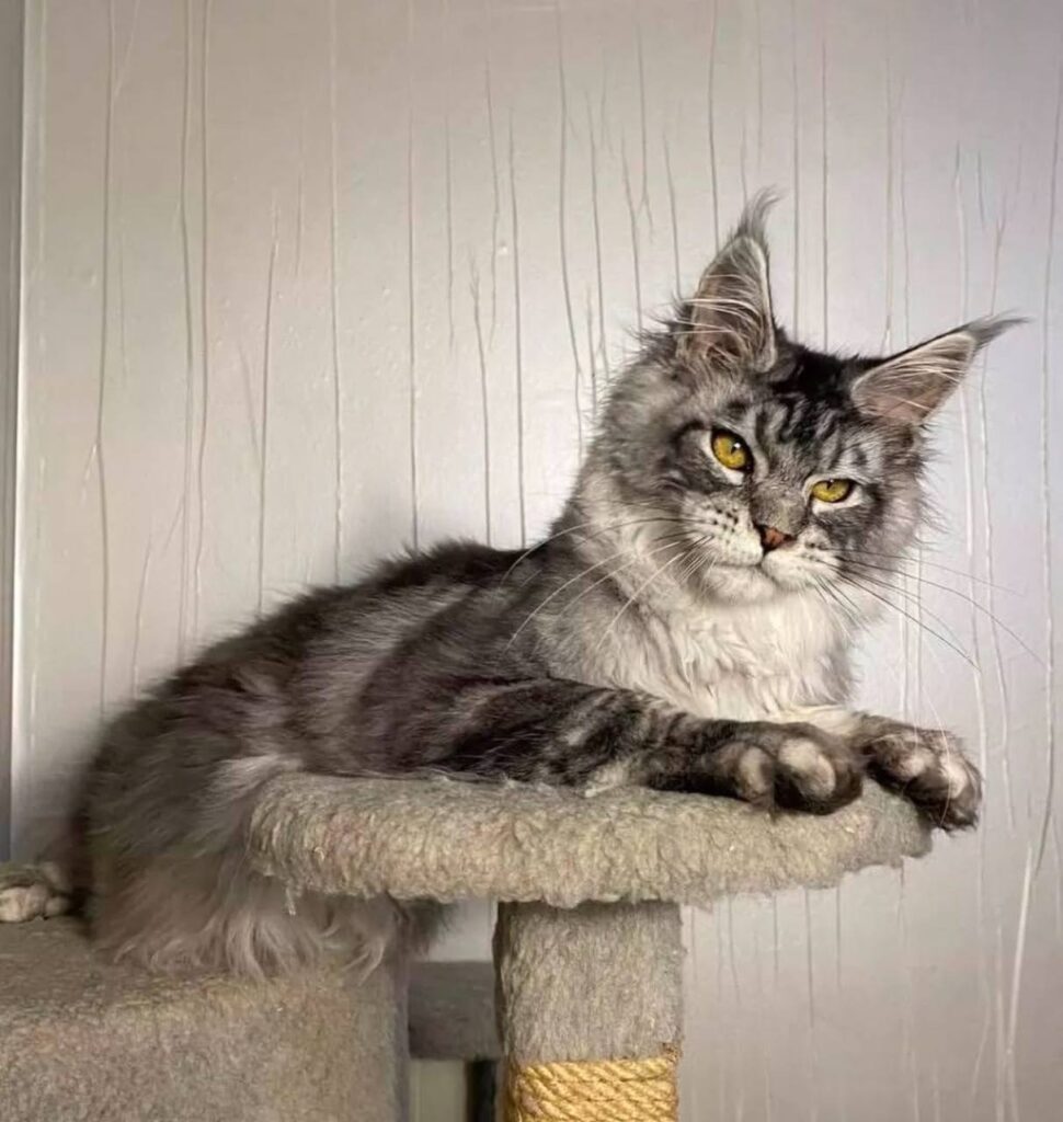 photo_2025-02-11_14-27-49