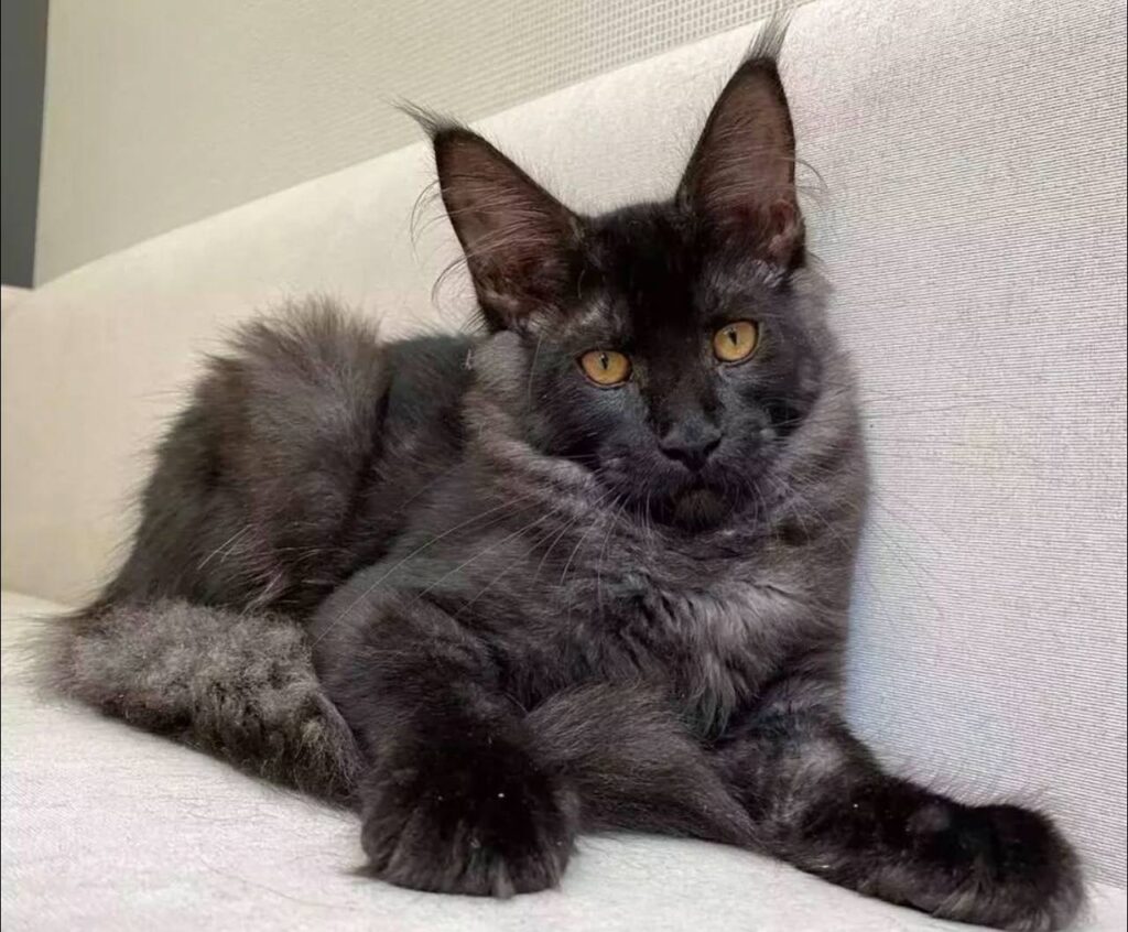 photo_2025-02-11_14-28-13