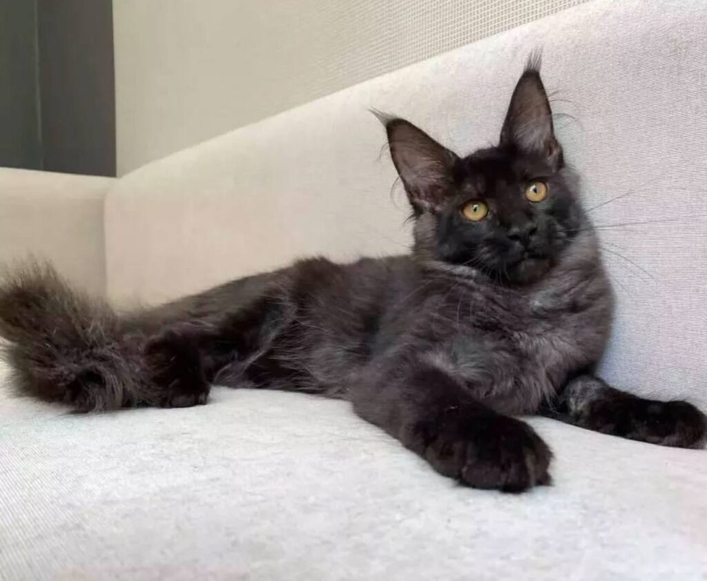 photo_2025-02-11_14-28-18