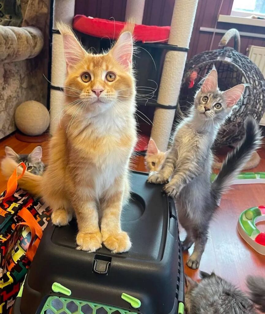 photo_2025-02-11_14-28-47