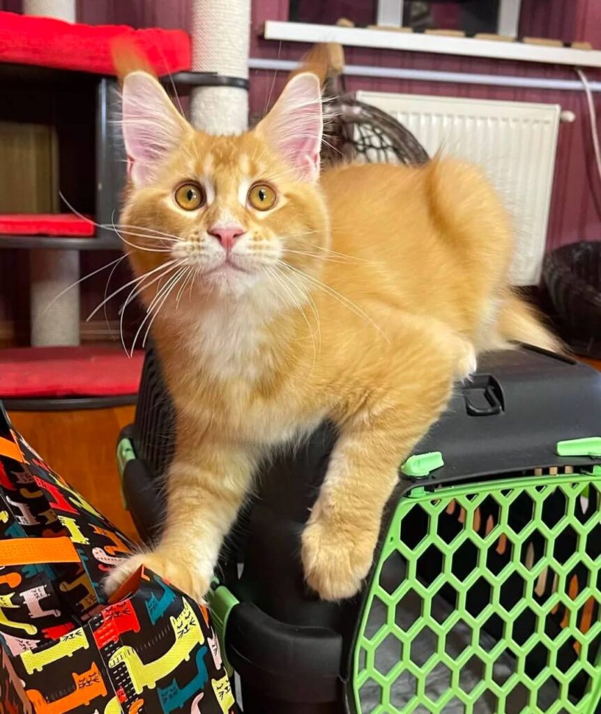 photo_2025-02-11_14-28-50