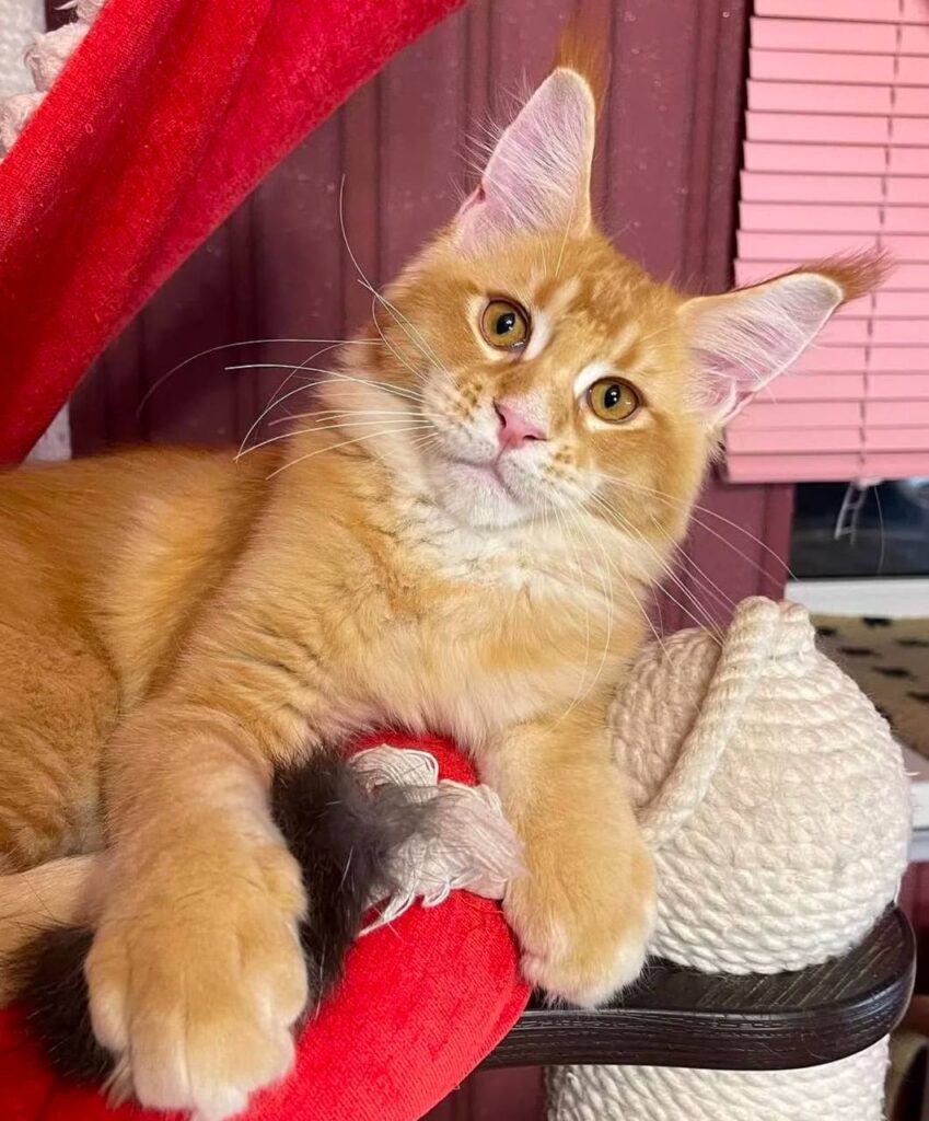 photo_2025-02-11_14-28-53