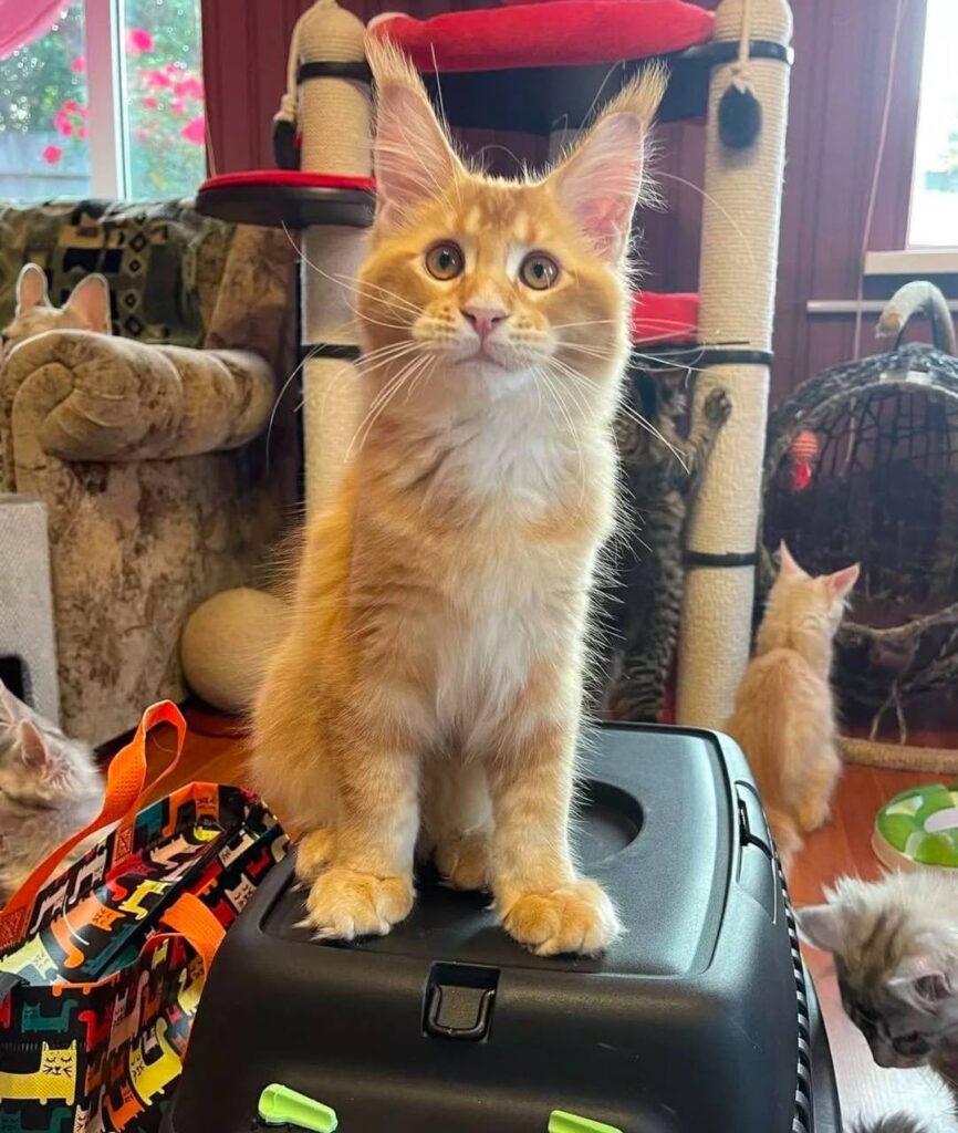 photo_2025-02-11_14-28-56