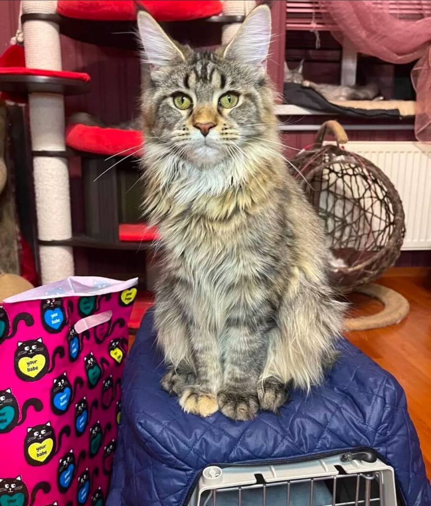 photo_2025-02-11_14-29-34