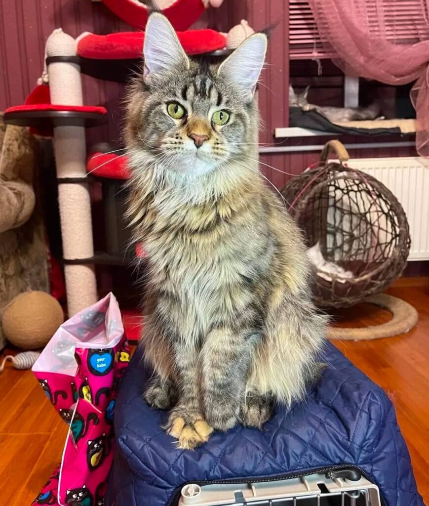 photo_2025-02-11_14-29-37