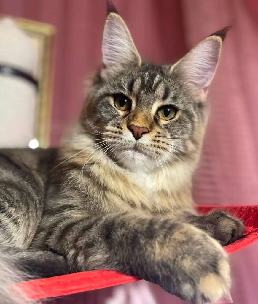 photo_2025-02-11_14-29-47