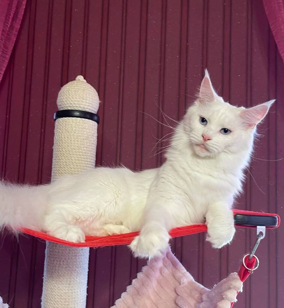 photo_2025-02-25_18-01-43