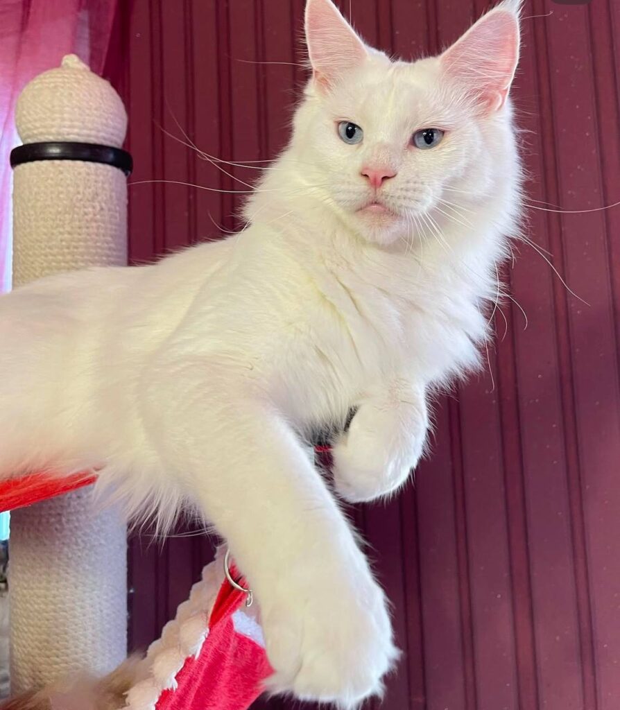 photo_2025-02-25_18-01-45